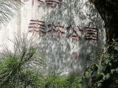-白水寺森林公园