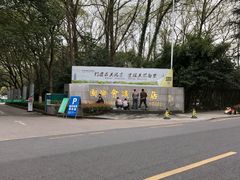 -南京国际会议大酒店
