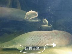 -青青世界
