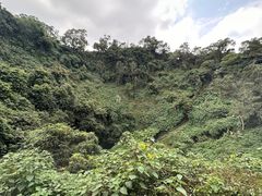 -海口火山口国家地质公园