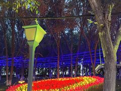 -水上乐园·欢乐世界