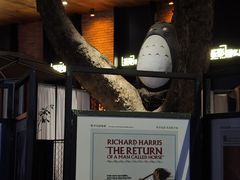 -西安电影制片厂