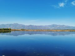 -野鸭湖国家湿地公园
