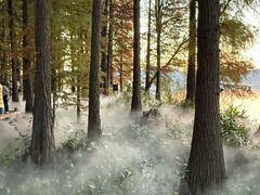 -东湖落雁景区