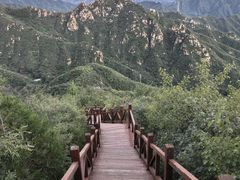 -大岭沟猕猴桃谷风景区