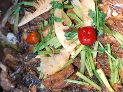 老板恋上鱼-老板恋上鱼(恒隆广场店)