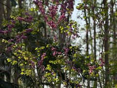 -苏州河梦清园环保主题公园