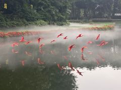 -广州长隆飞鸟乐园