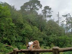-峨眉山风景名胜区