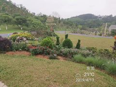 -东莞植物园