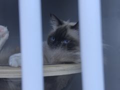 -莱姆星桌游·拼豆·团建
