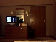 -新加坡瑞士史丹福酒店