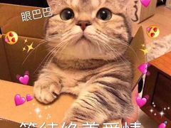 -糖果KTV(雍和宫店)