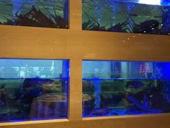 水产区-安蒂娅.悦景轩中餐厅(西乡店)