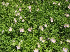 -白塘生态植物园