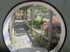 -大围山国家森林公园
