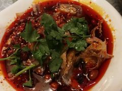 夫妻肺片-陈麻婆豆腐总店