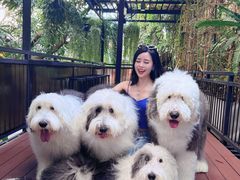 -TrueLove @ Neverland (Husky Cafe)