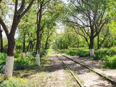 -永定河休闲森林公园