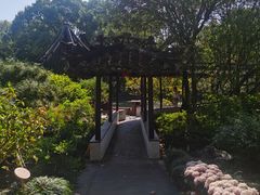 -上海醉白池公园