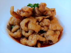 -新天明砂锅鱼头煲