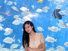 -合肥海洋世界
