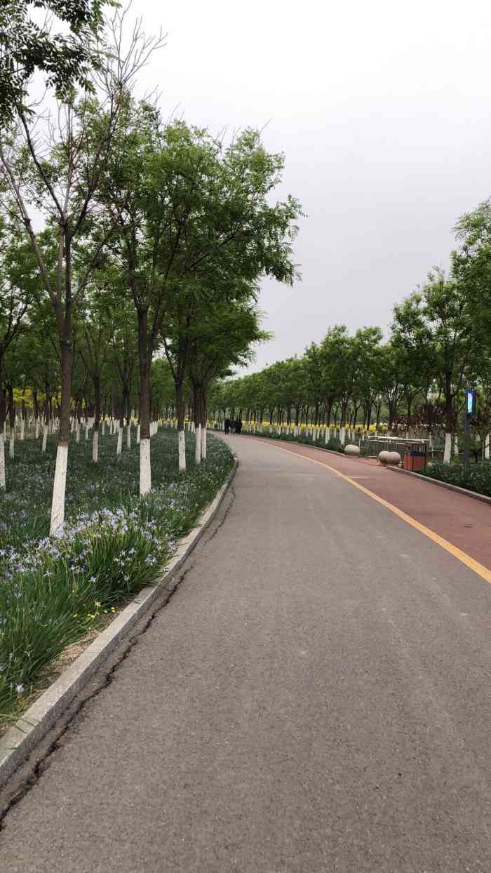 东丽湖生态体育公园-"不错不错,适合骑行的地方,虽然马路窄点,.