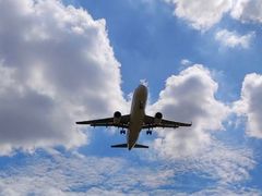 -空港花田景区