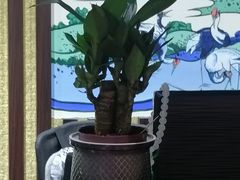 -学习谷日语培训日本留学·多语种外语教学(海淀人大分部)