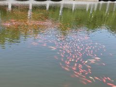 -大连植物园