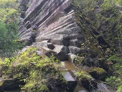 -望天鹅景区