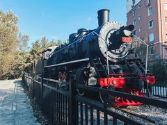 -长春公园(普阳街道)