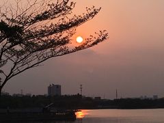 -海珠湖公园
