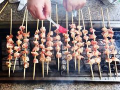 -吴淞炮台湾湿地森林公园烧烤区