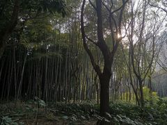 -苏州河梦清园环保主题公园