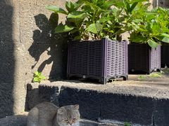 -和顺古镇
