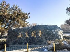 -张掖大佛寺景区