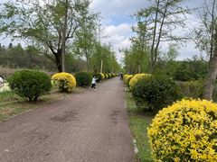 -白鹭湾湿地公园