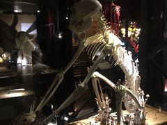 -北京三里屯CHAO酒店