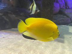 -上海海洋水族馆