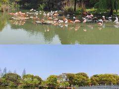 -宁波野生动物园
