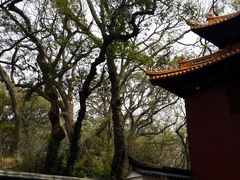-普陀山风景名胜区-法雨禅寺