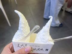 -野人先生Gelato(上海长宁龙之梦店)