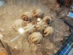 -铭聚章鱼土笋冻(松柏店)