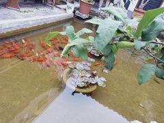 -膳和缘炒鸡店(南门路店)