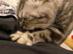 -永和大王(龙德广场店)