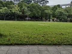 -华南师范大学(广州大学城校区)