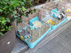 -后海16号·北京私房菜