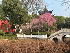 -丝绸小镇荻港古村