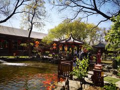 -白家大院·王府宫廷菜(苏州街店)